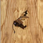 Dettaglio lavorazione cofano