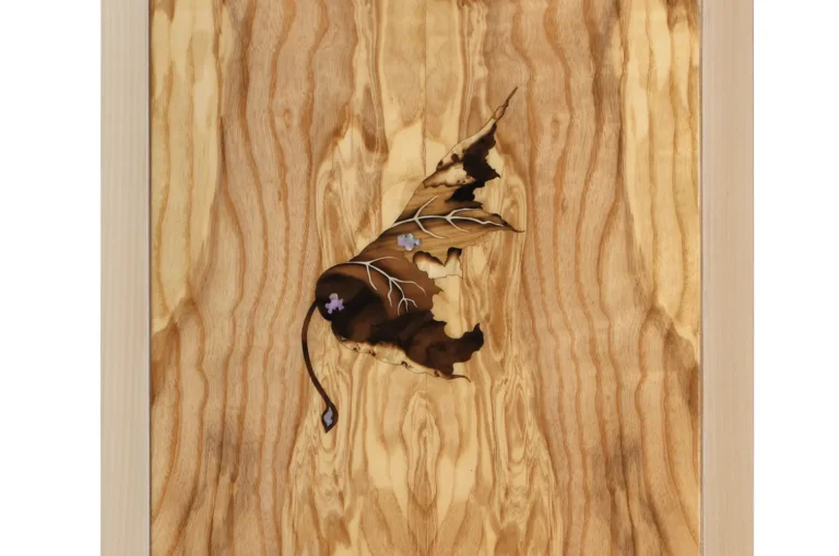 Foglie Olivo dettaglio