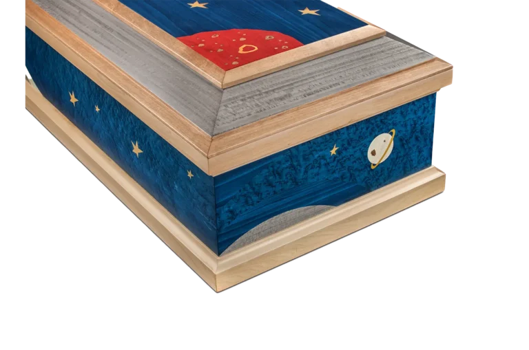 Van Gogh Piccolo Principe dett2